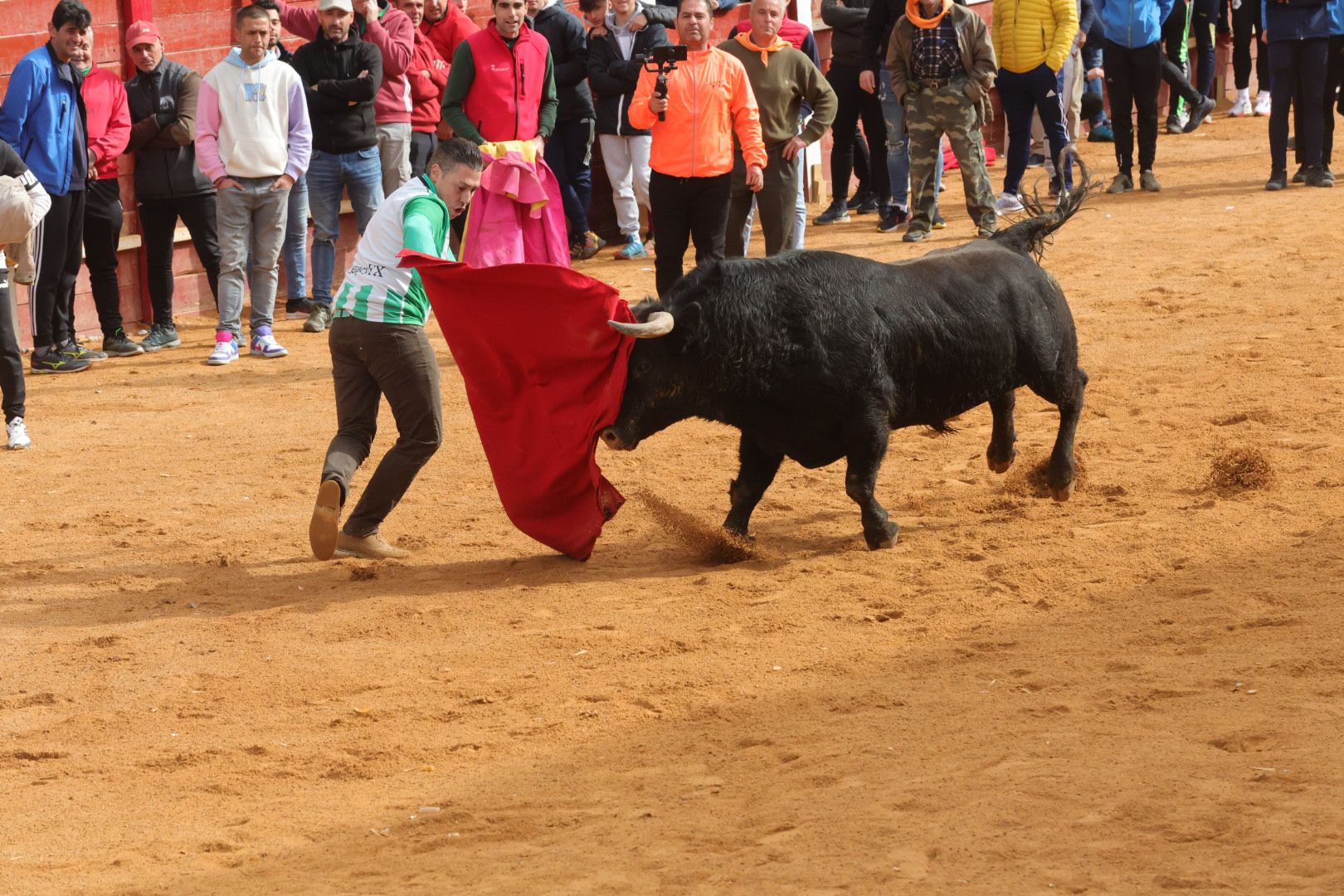 Fotos: Encierro rápido y limpio en Ciudad Rodrigo