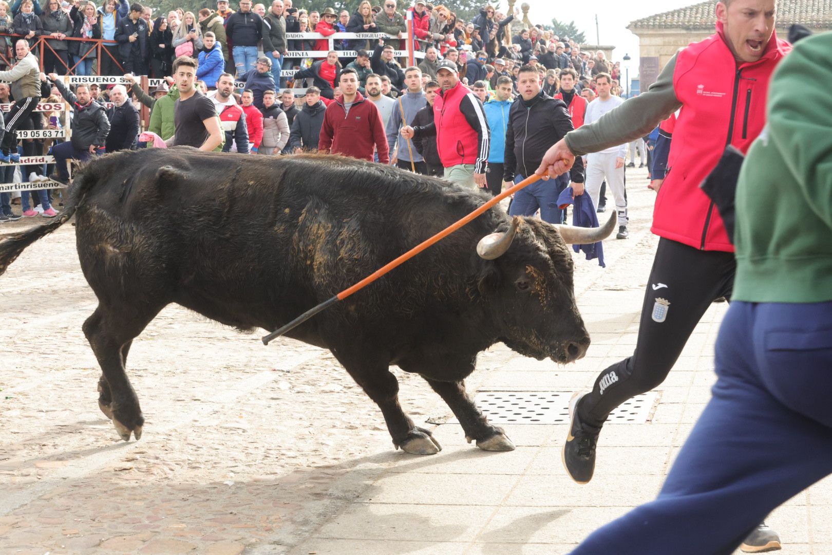 Fotos: Encierro rápido y limpio en Ciudad Rodrigo
