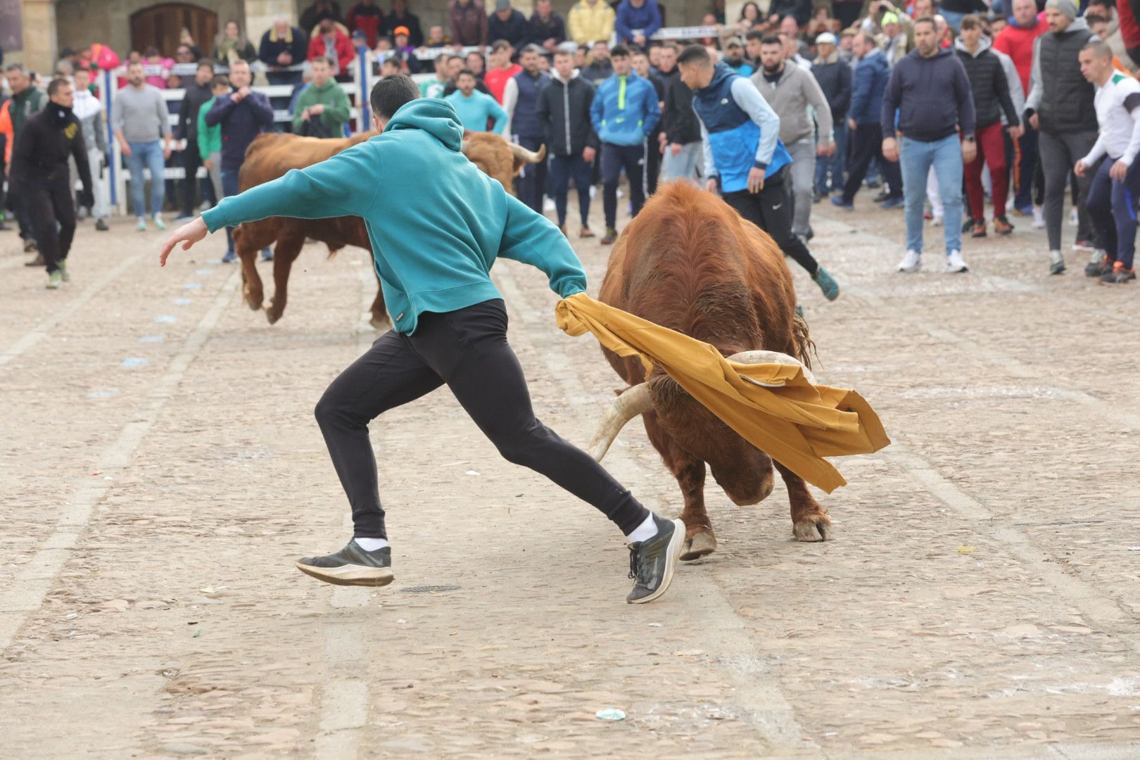 Fotos: Encierro rápido y limpio en Ciudad Rodrigo