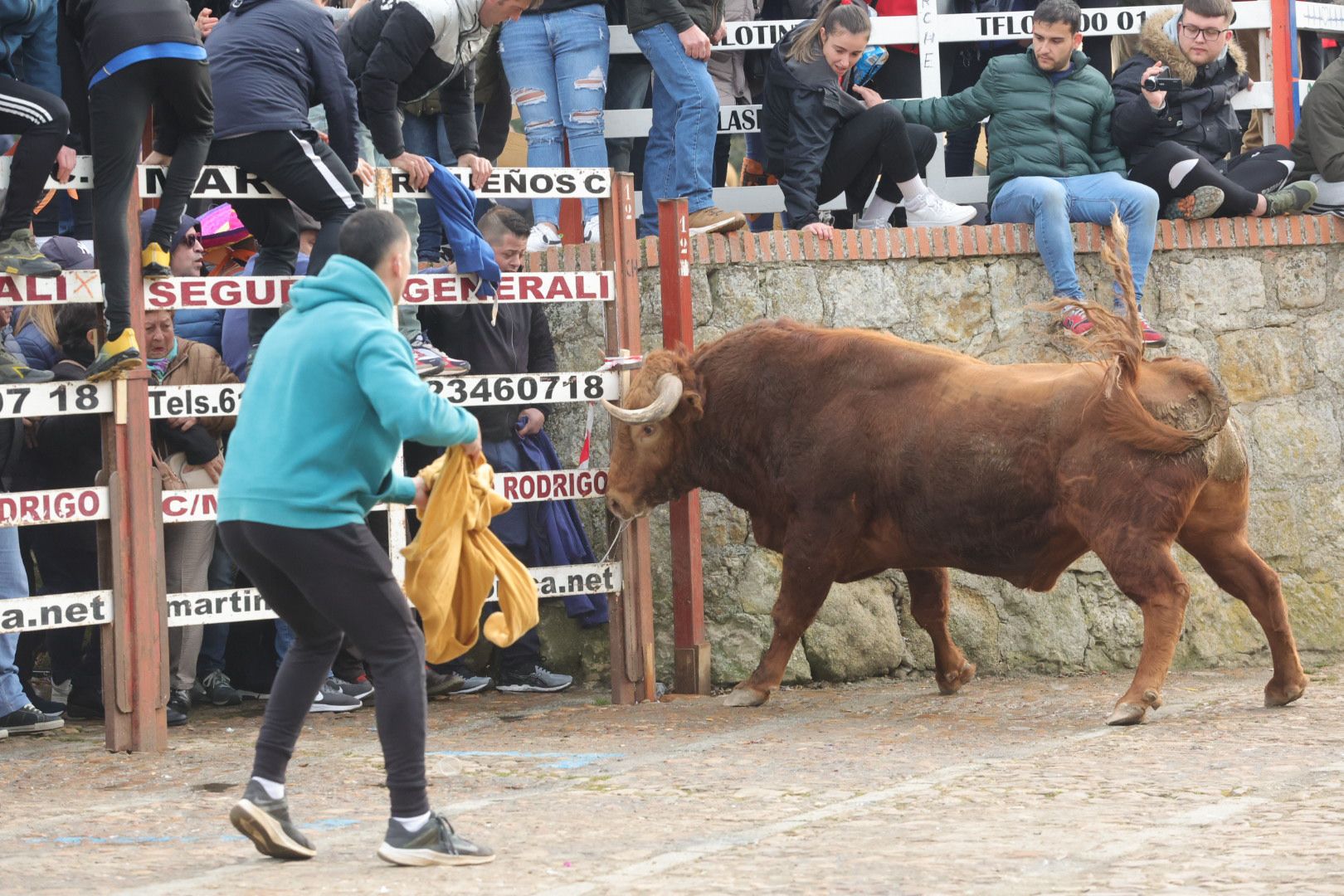 Fotos: Encierro rápido y limpio en Ciudad Rodrigo
