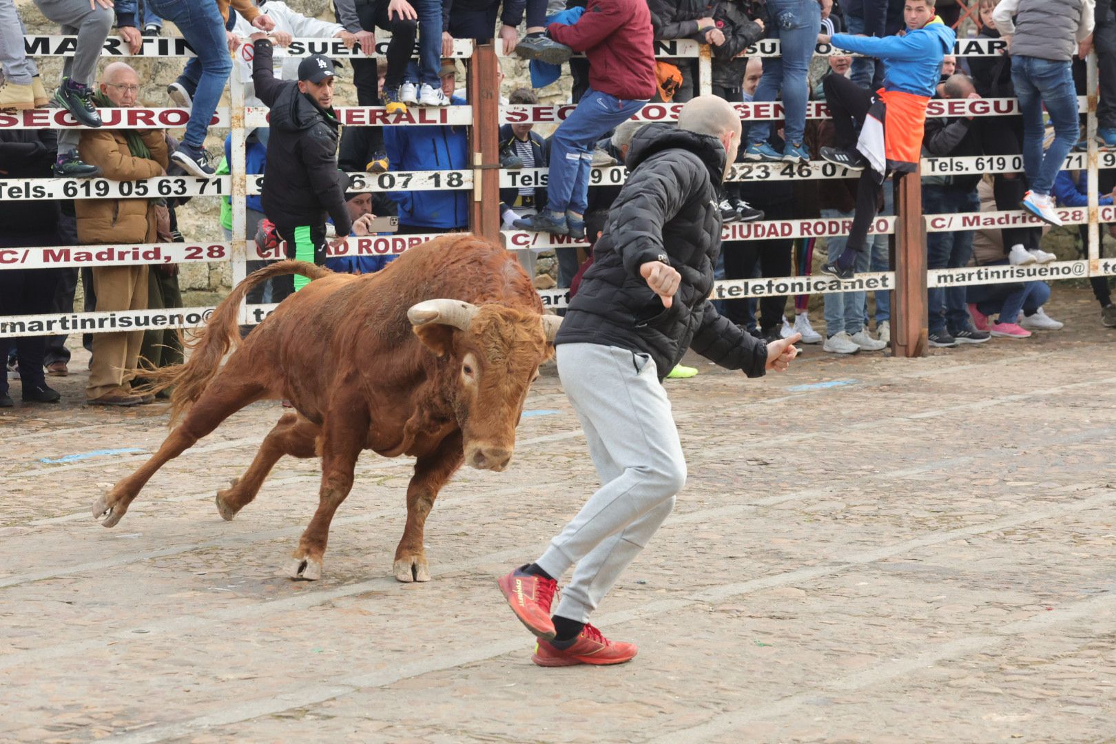 Fotos: Encierro rápido y limpio en Ciudad Rodrigo