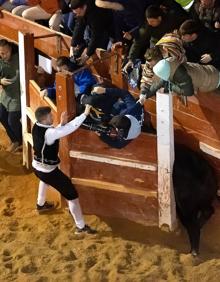 Imagen secundaria 2 - Dos heridos tras colarse el toro en un burladero durante la capea nocturna de Ciudad Rodrigo