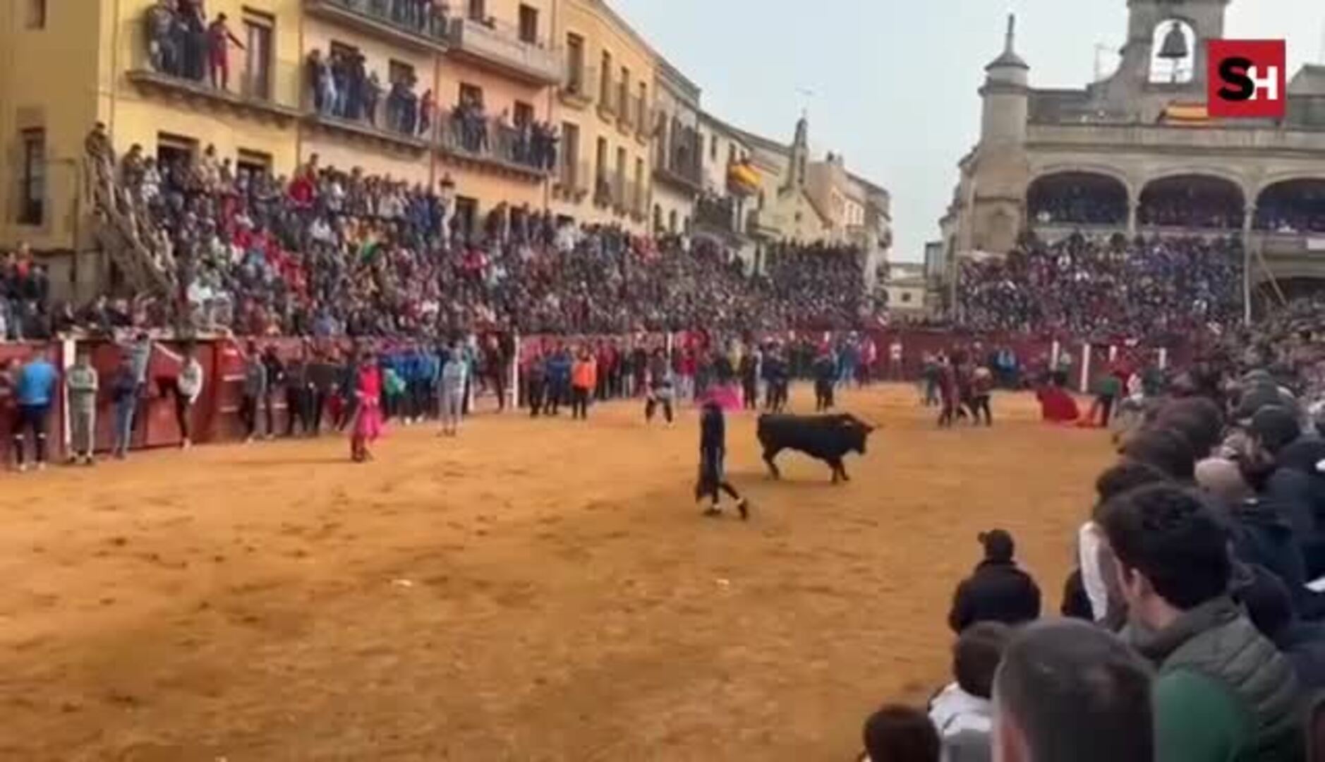 Encierro limpio y rápido el lunes de carnaval en Ciudad Rodrigo