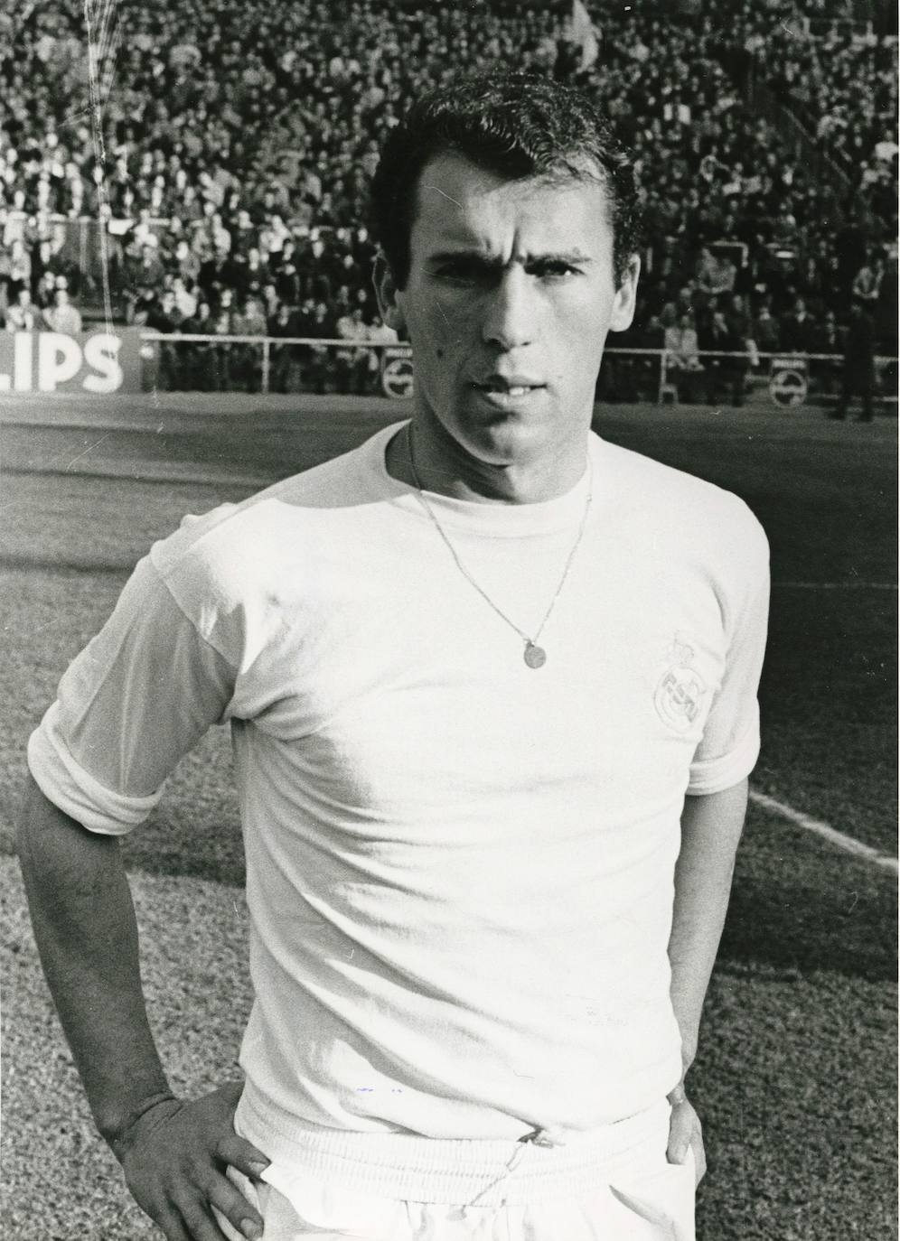 Amancio Amaro jugó en el Real Madrid entre 1962 y 1976, con el que ganó la sexta Copa de Europa en 1966, en la que marcó el primer gol ante el Partizán de Belgrado en el mítico estadio de Heysel de Bruselas, 9 Ligas y 3 Copas de España.