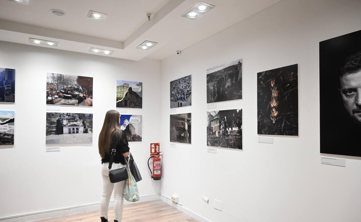 Una persona observa las imágenes de la exposición.