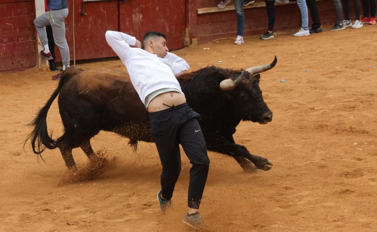 Imagen de la capea de hoy en Ciudad Rodrigo. 