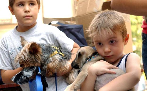 1.100 escolares salmantinos participan en un taller para aprender a cuidar mascotas 