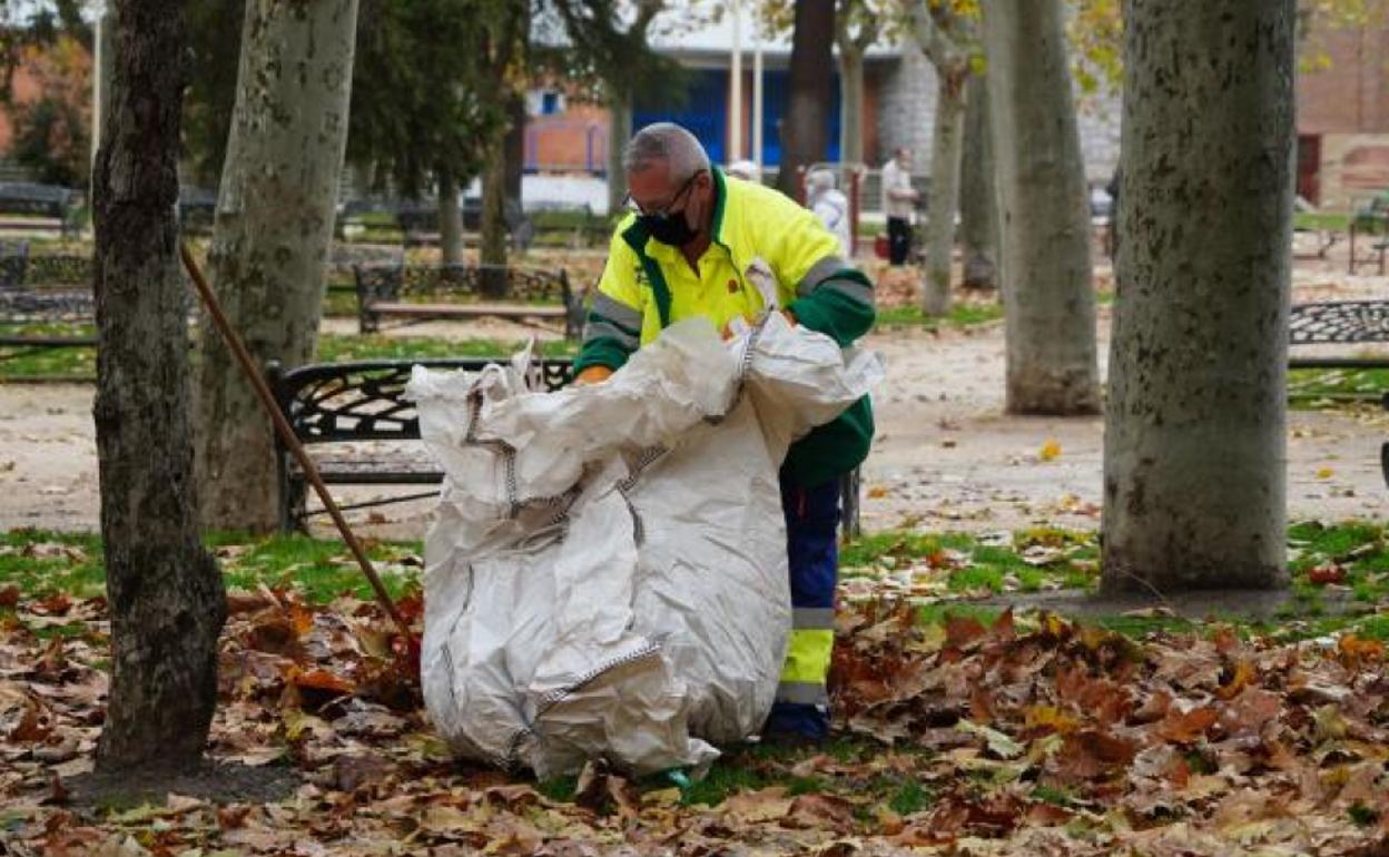 Un trabajador de la empresa concesionaria del servicio de mantenimiento de parques y jardines.