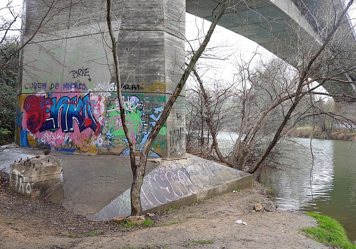 Lugar donde ha aparecido el cadáver