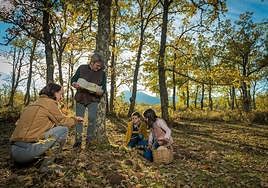 Familia recogiendo setas