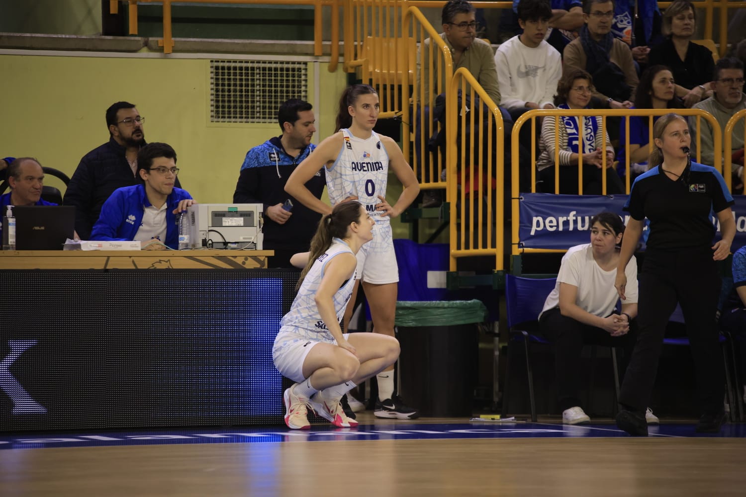 Avenida gana a Landes y sigue vivo en Europa