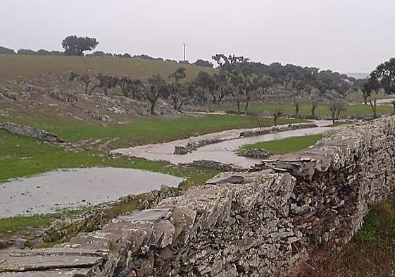 Caudal del agua en una finca de la carretera de Las Veguillas