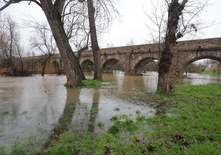 El caudal del Tormes ha anegado el cauce bajo el Puente Romano.