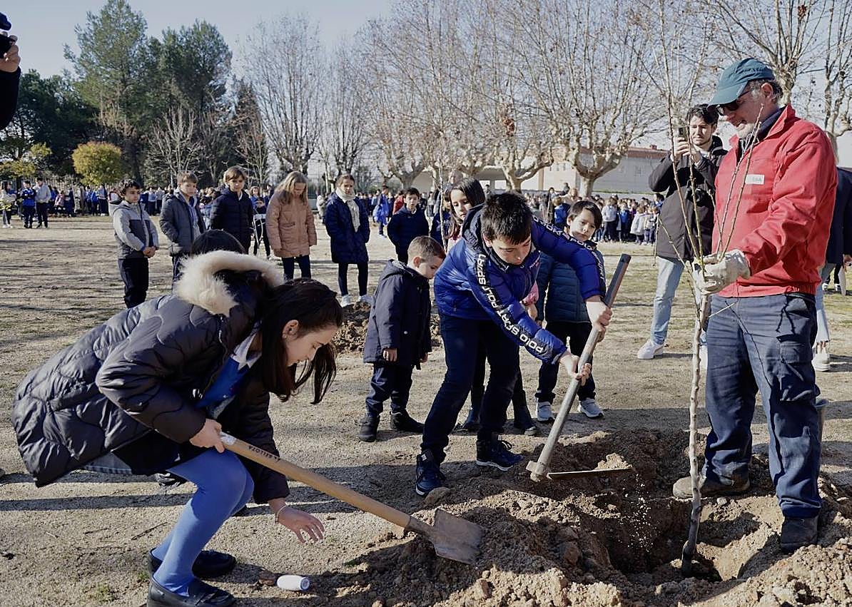 Imagen secundaria 1 - Salamanca renaturalizará 51 espacios escolares a través del proyecto &#039;Patios por el Clima&#039;