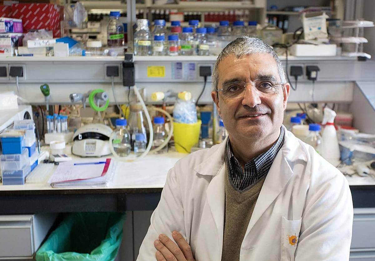 Xosé R.Bustelo, nuevo director del Centro de Investigación del Cáncer de Salamanca.