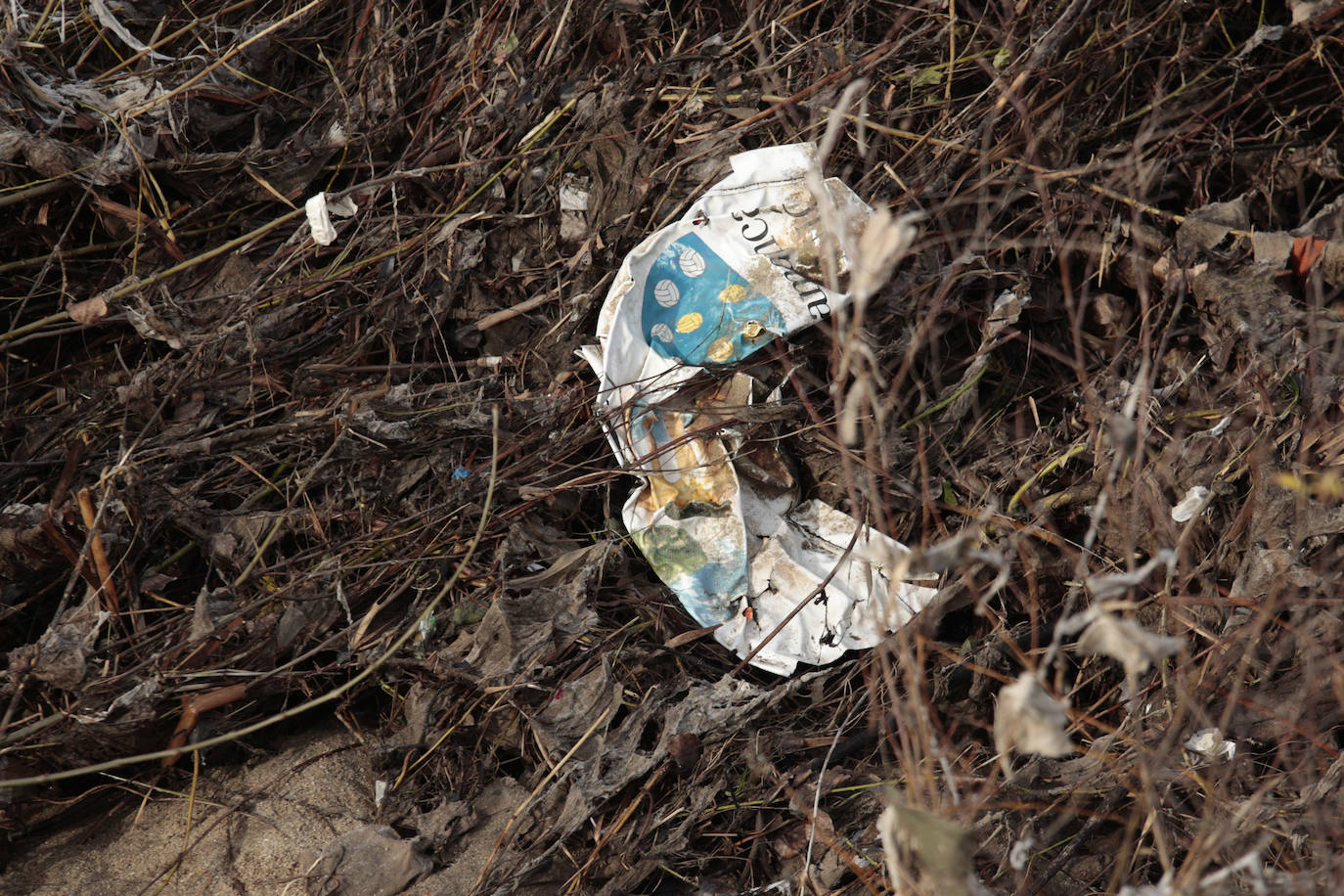 La basura emerge del Tormes después de la borrasca