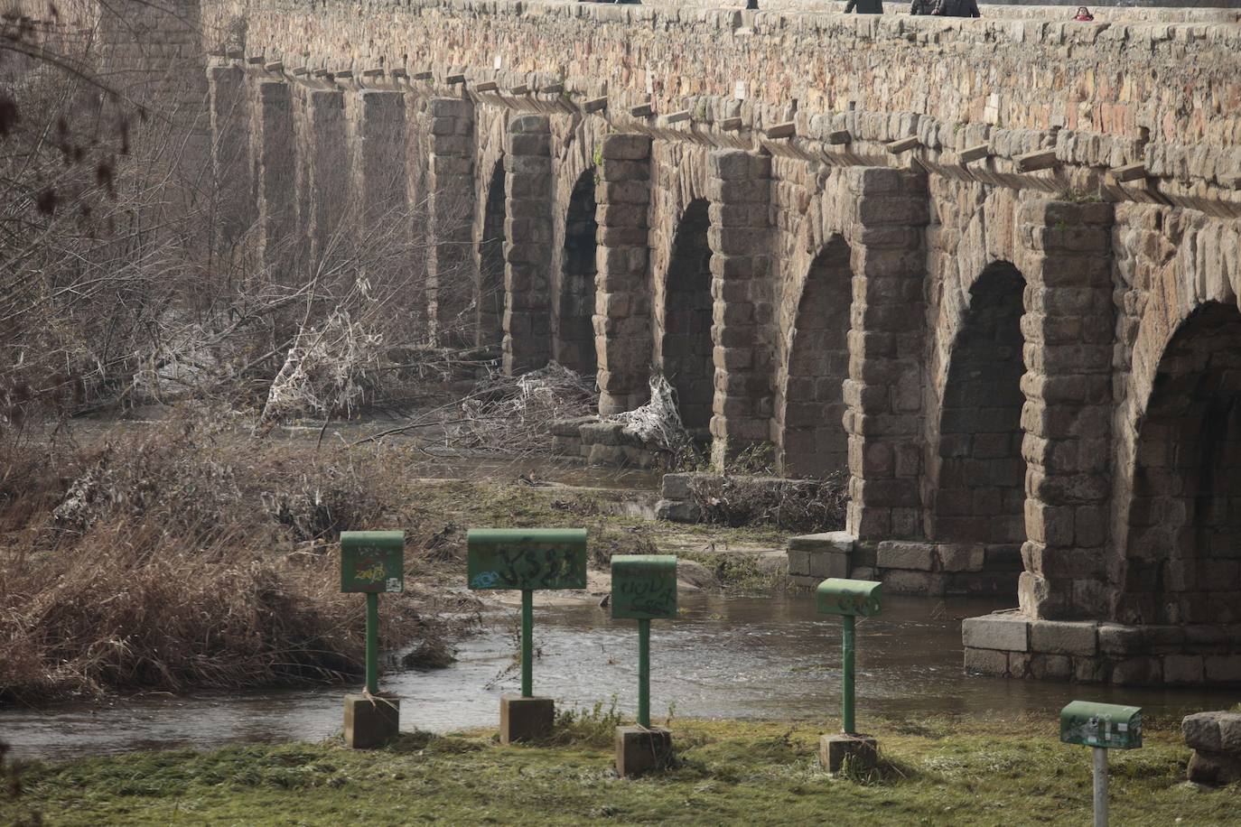 La basura emerge del Tormes después de la borrasca