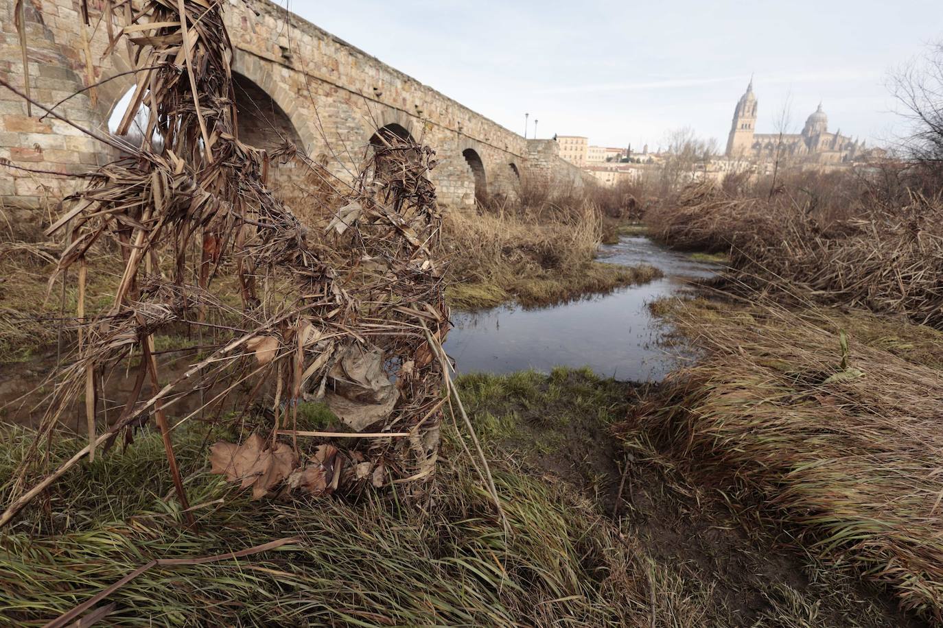 La basura emerge del Tormes después de la borrasca