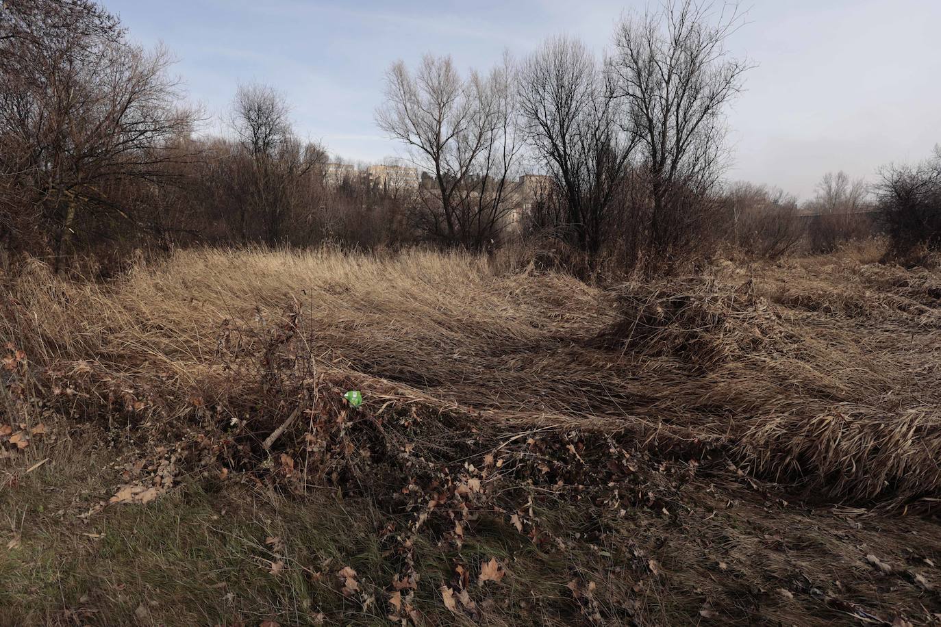 La basura emerge del Tormes después de la borrasca