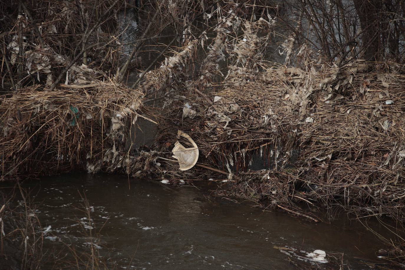 La basura emerge del Tormes después de la borrasca