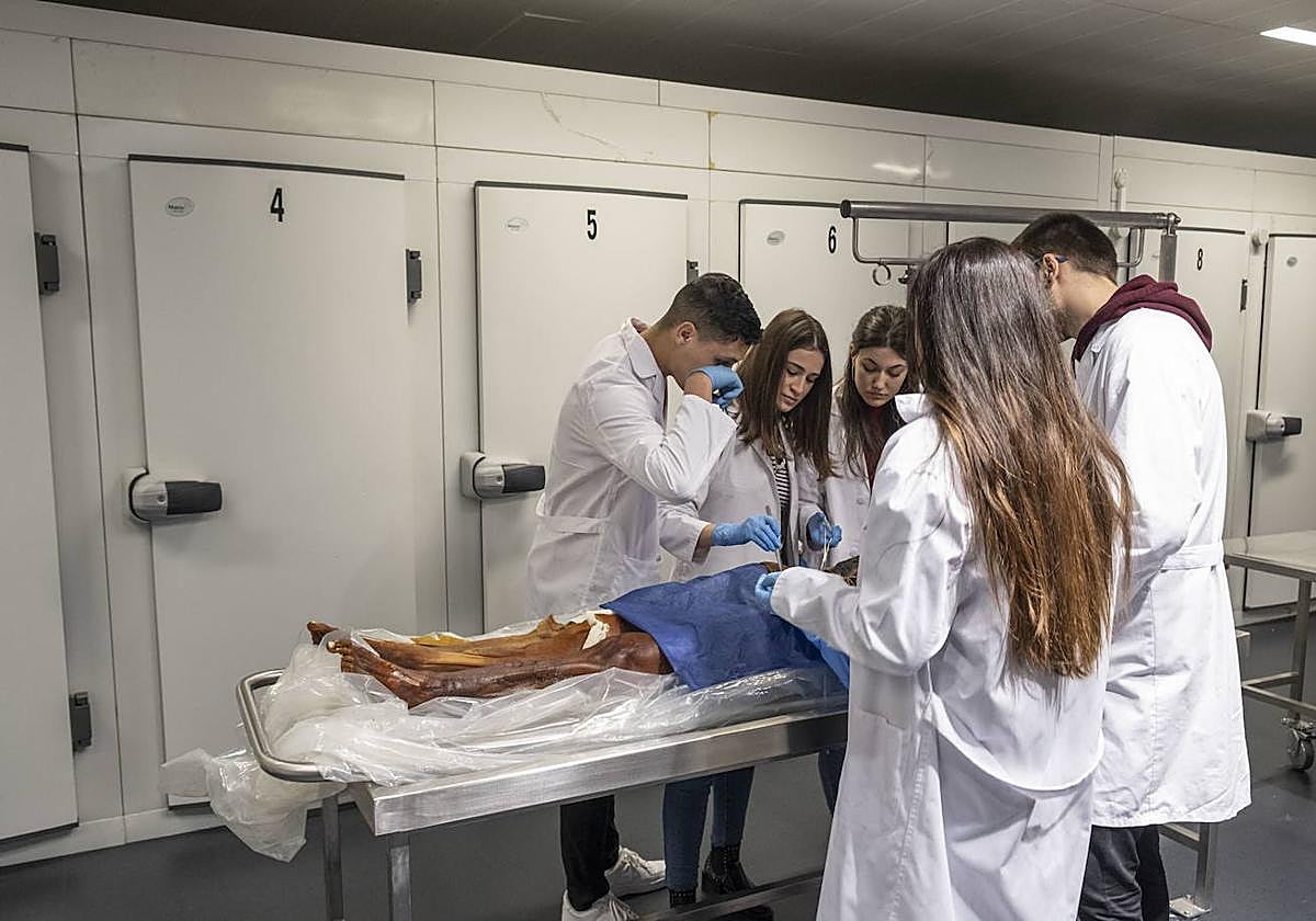 Alumnos hacen prácticas médicas con un cadáver.