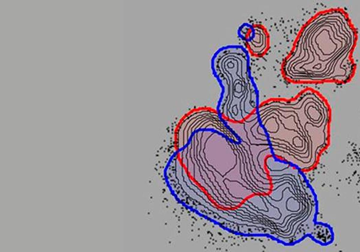 Científicos del USAL-CSIC participan en un estudio que mejora la comprensión del síndrome linfoproliferativo autoinmune