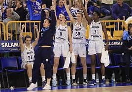 El banquillo de CB Avenida celebra una canasta en Euroliga.