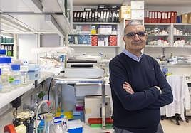 Xosé Bustelo en el laboratorio.