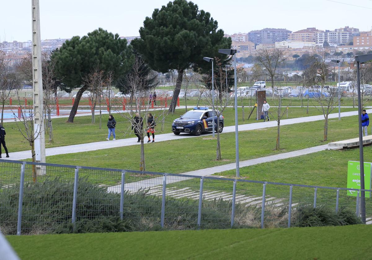 Los parques y la zona arbolada de la Ciudad Deportiva de La Aldehuela, cerrados este jueves
