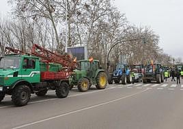 La tractorada de este jueves en Salamanca, en imágenes