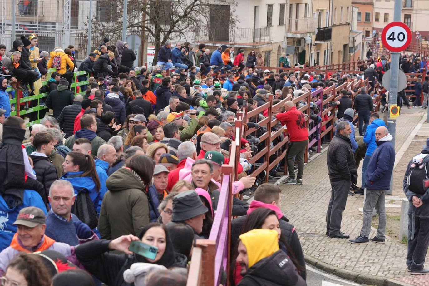 El Toro del Antruejo en imágenes