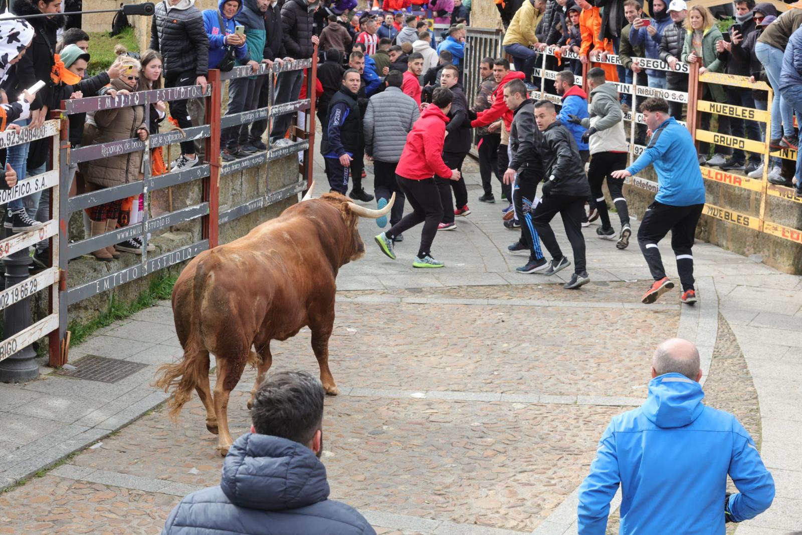 El multitudinario encierro del sábado en Ciudad Rodrigo, en imágenes