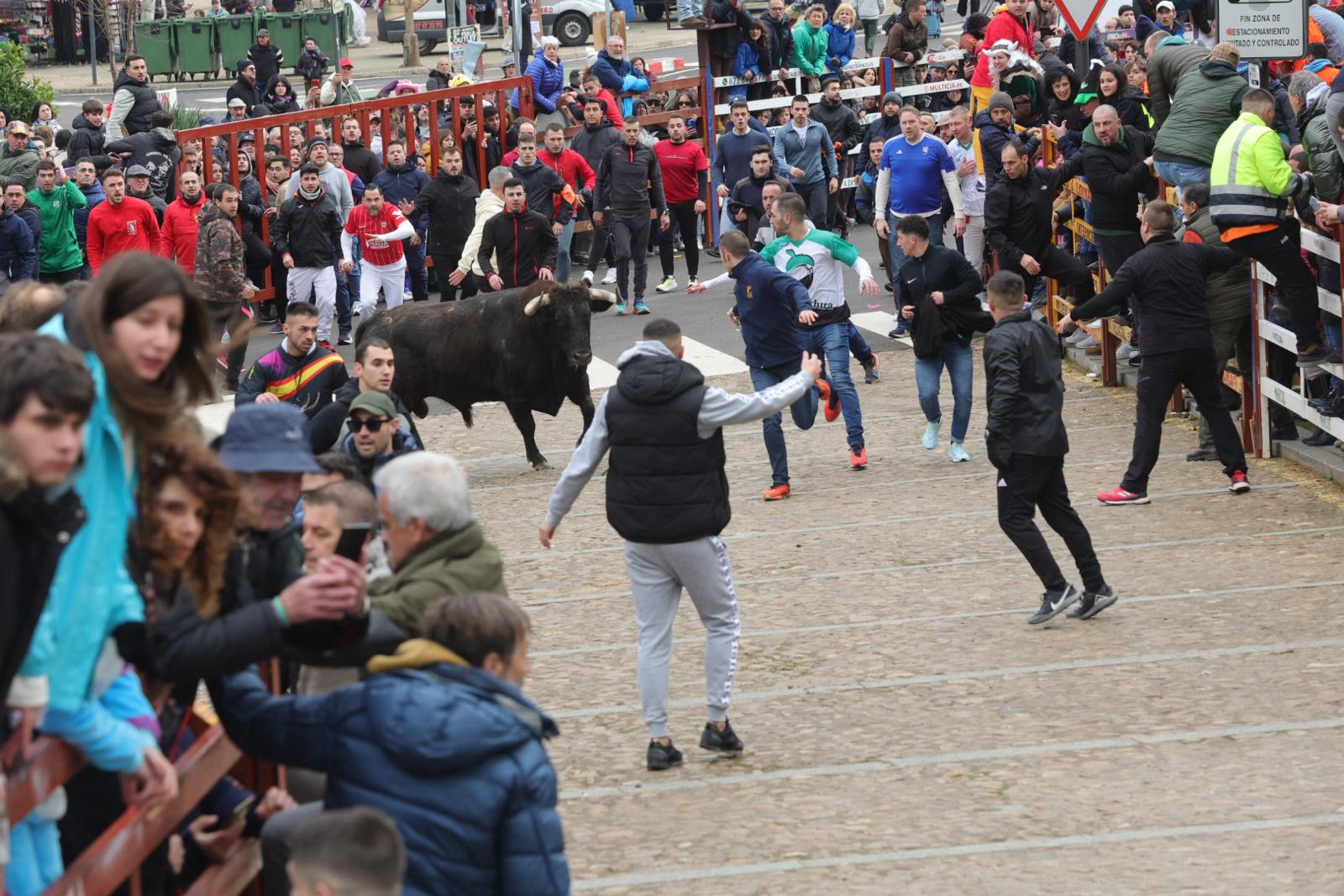 El multitudinario encierro del sábado en Ciudad Rodrigo, en imágenes
