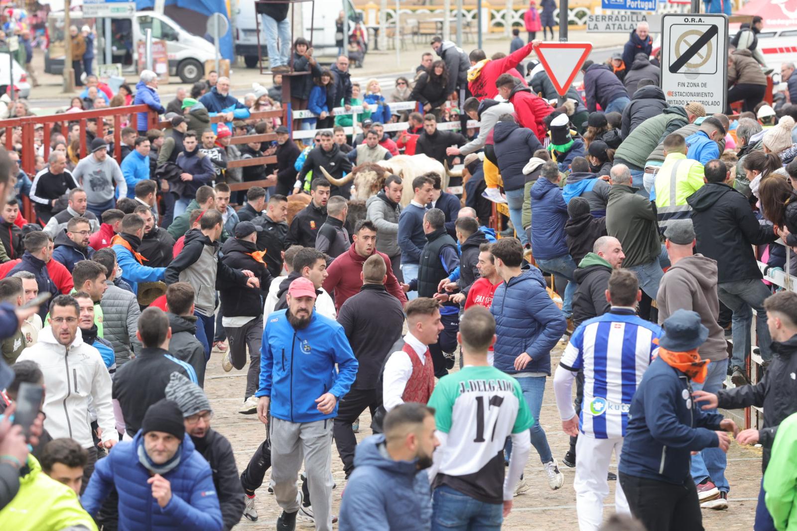 El multitudinario encierro del sábado en Ciudad Rodrigo, en imágenes