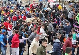 Los astados, rodeados de corredores