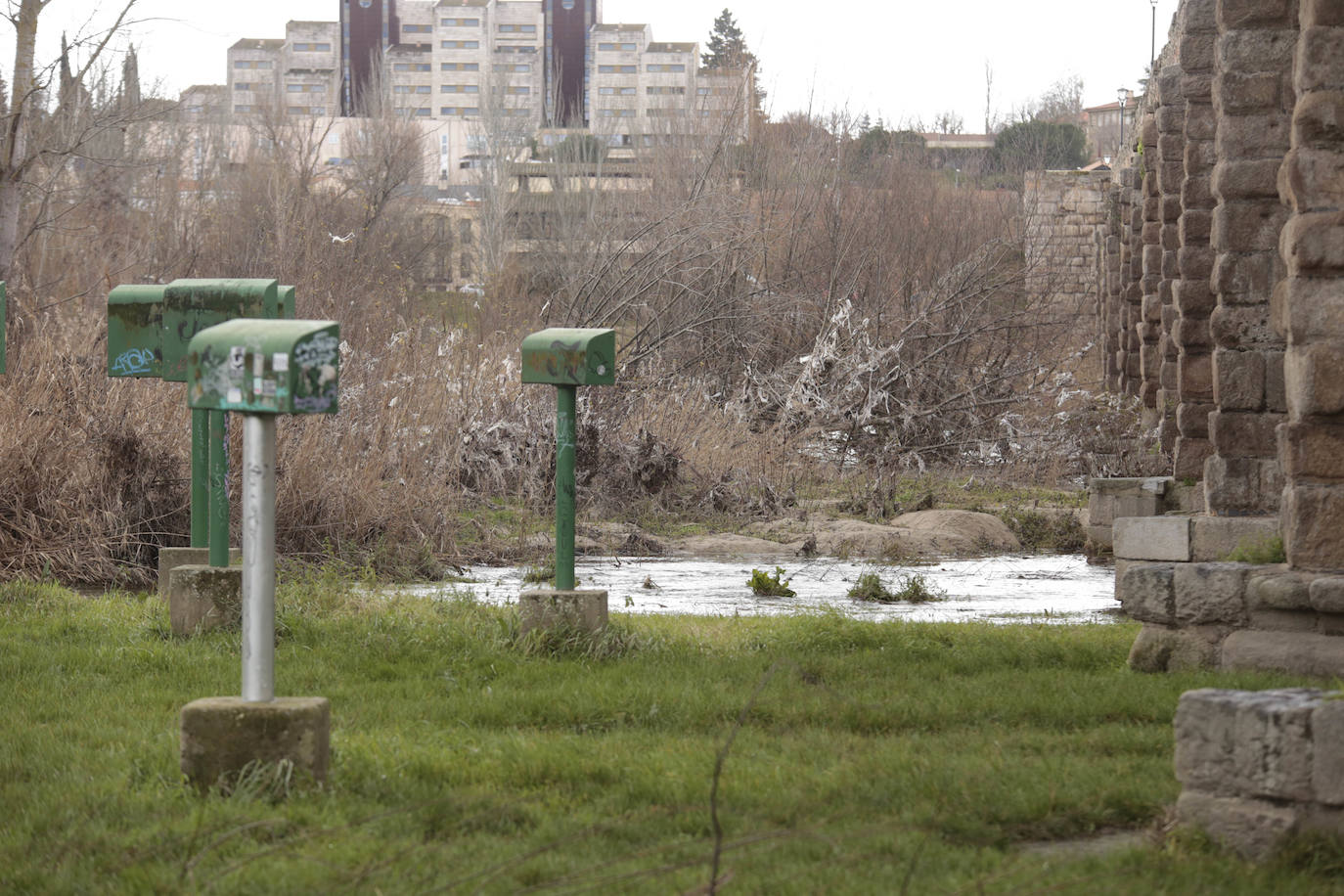 La crecida del río llena de &#039;basuraleza&#039; la ribera del Tormes
