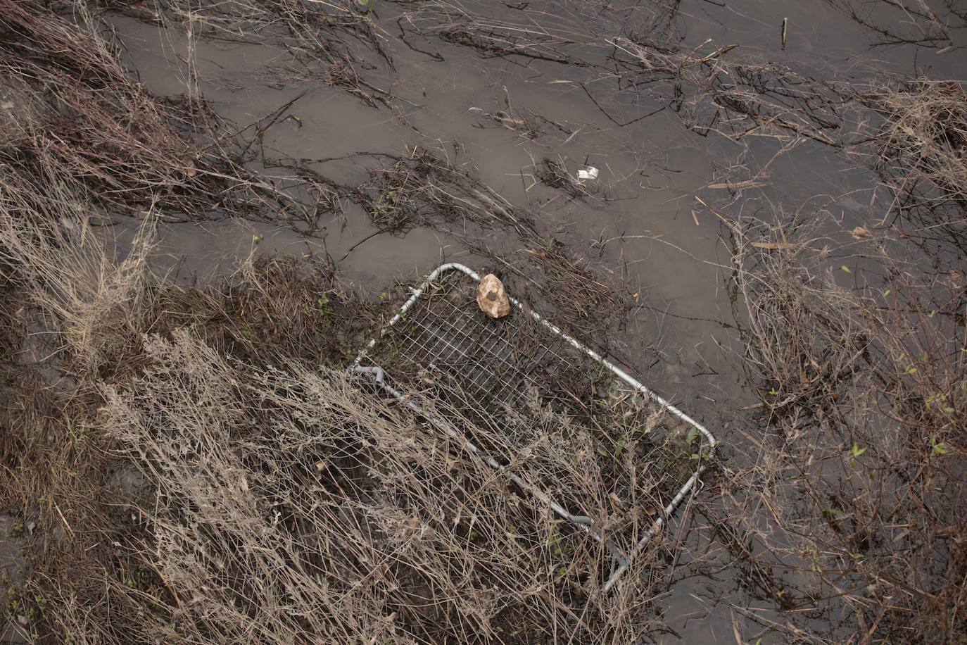 La crecida del río llena de &#039;basuraleza&#039; la ribera del Tormes