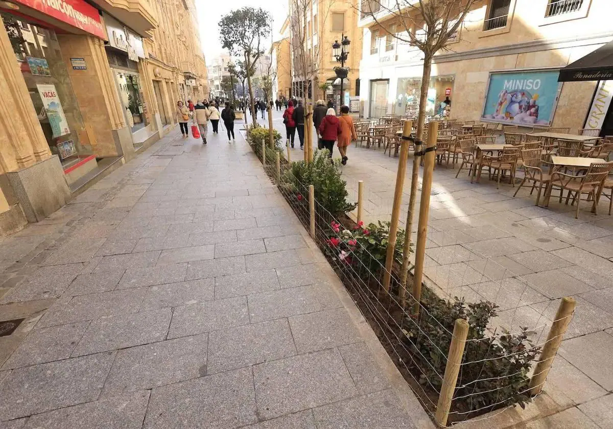 Orines de perros y robos de plantas deslucen el corredor verde que cruza Salamanca