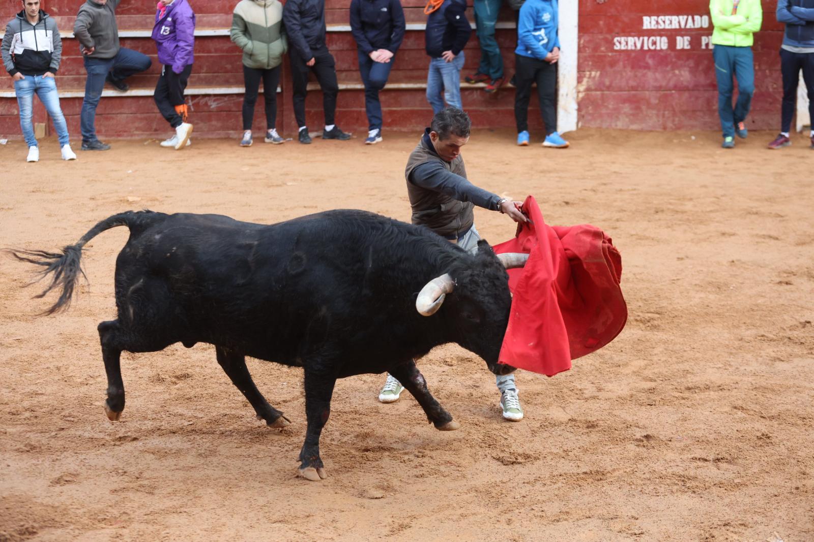 El Martes de Carnaval arranca en Ciudad Rodrigo con un divertido Toro del Aguardiente