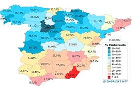Los embalses de Salamanca siguen presentando un aspecto envidiable