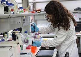 Una investigadora trabaja en uno de los laboratorios de la USAL.