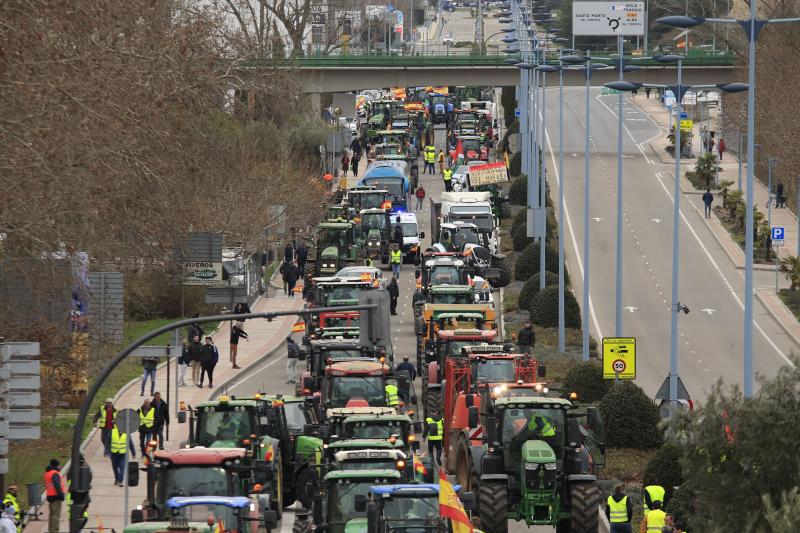 Imagen del acceso a Salamanca por la carretera de Madrid el pasado día 8.