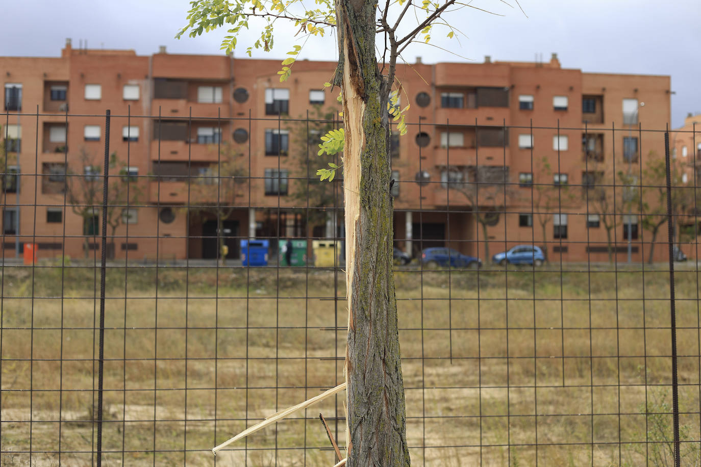 Los efectos de los temporales en Salamanca, en imágenes