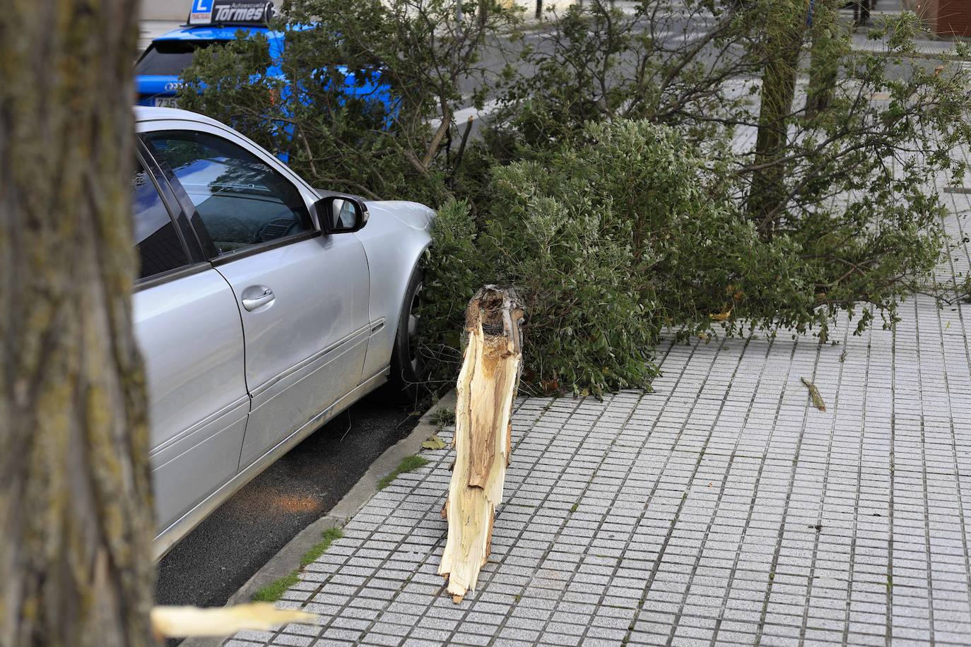Los efectos de los temporales en Salamanca, en imágenes