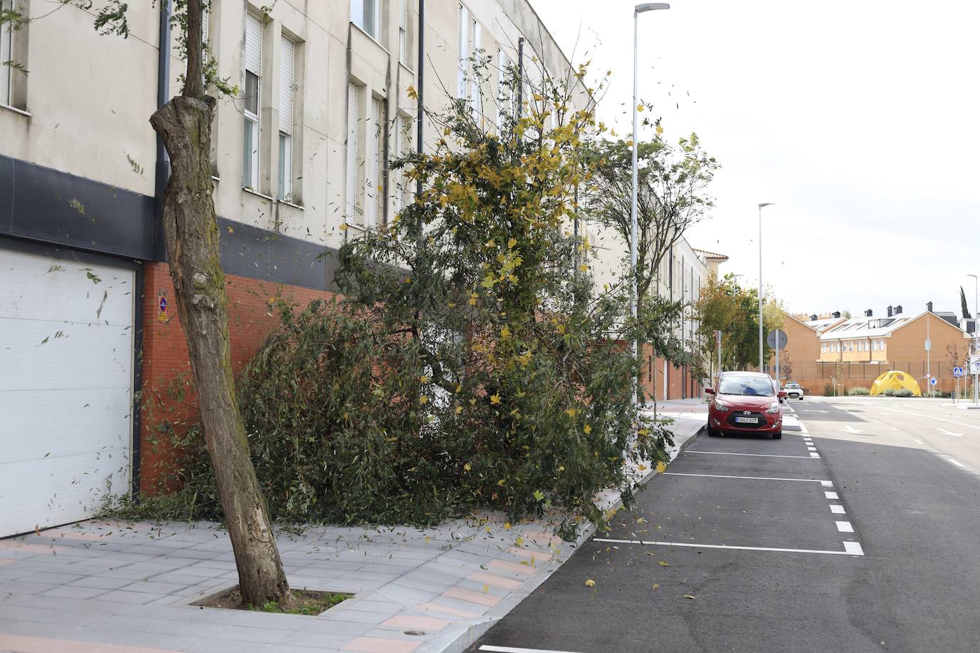 Los efectos de los temporales en Salamanca, en imágenes