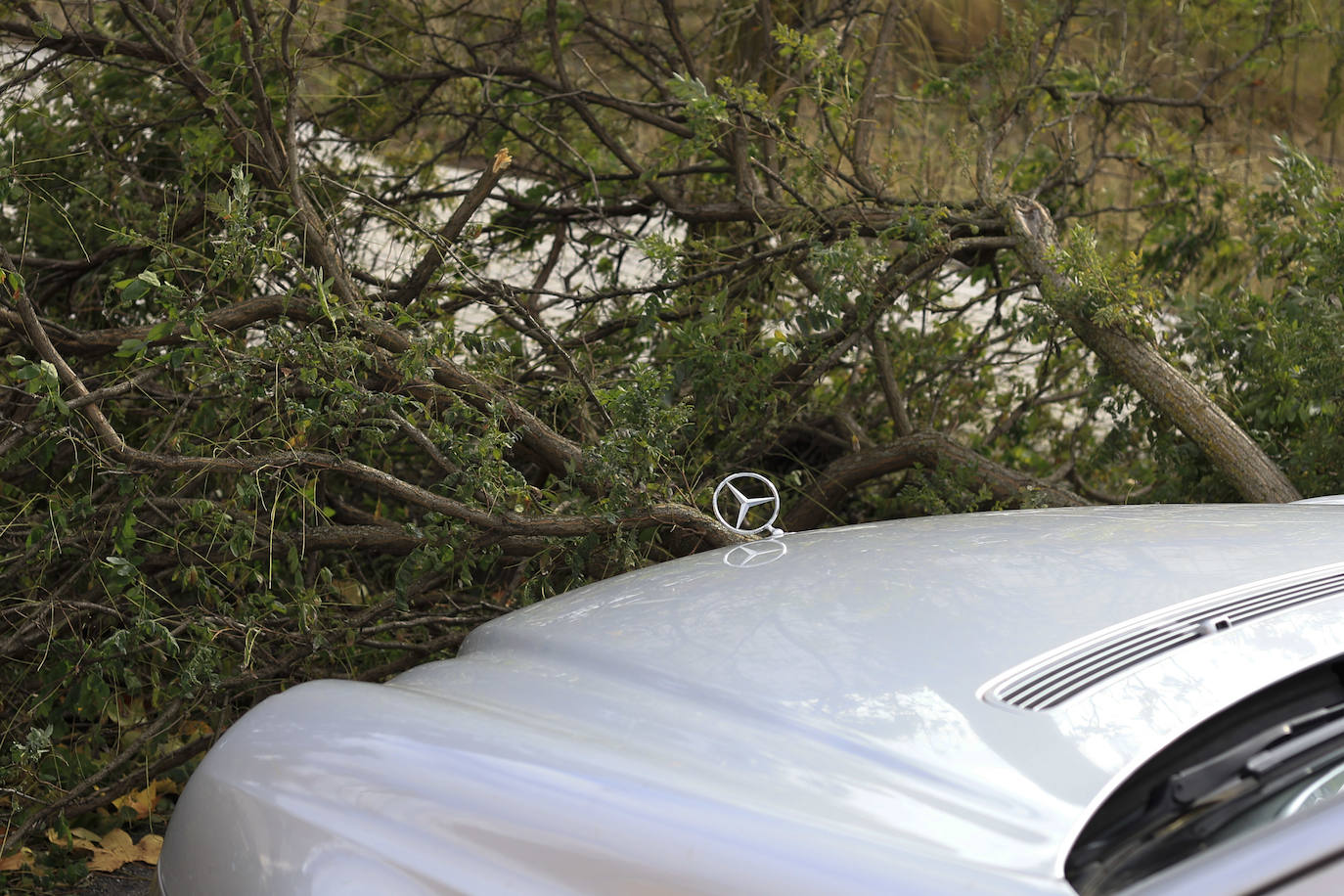 Los efectos de los temporales en Salamanca, en imágenes