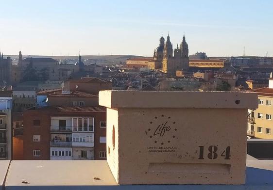 Una de las cajas nidos colocadas en Salamanca.
