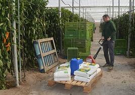 Un agricultor traslada un palé con fertilizantes en un invernadero.