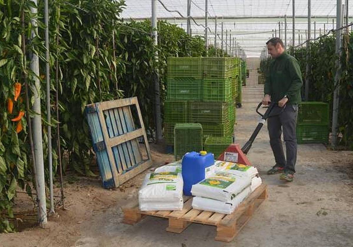 Un agricultor traslada un palé con fertilizantes en un invernadero.