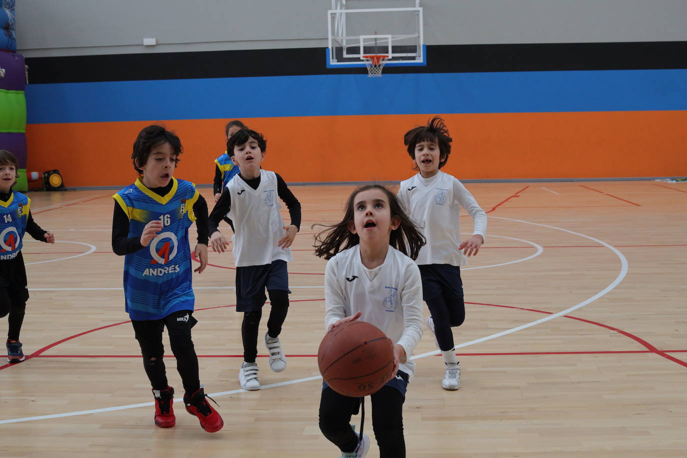 El anexo de Würzburg celebra la VIII edición del PequeBasket